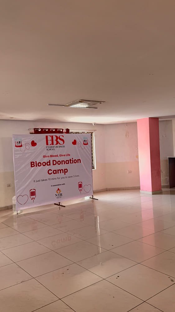 gallery-6